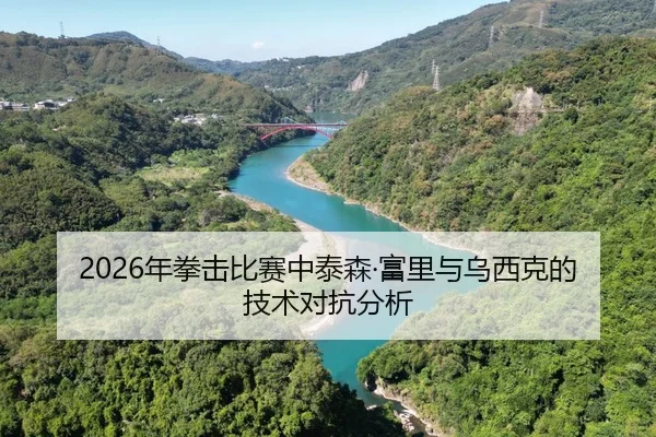 2026年拳击比赛中泰森·富里与乌西克的技术对抗分析