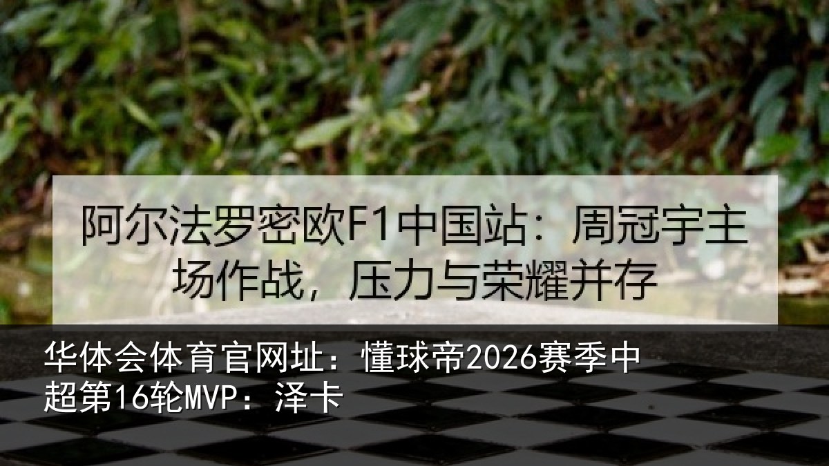 华体会体育官网址：懂球帝2026赛季中超第16轮MVP：泽卡